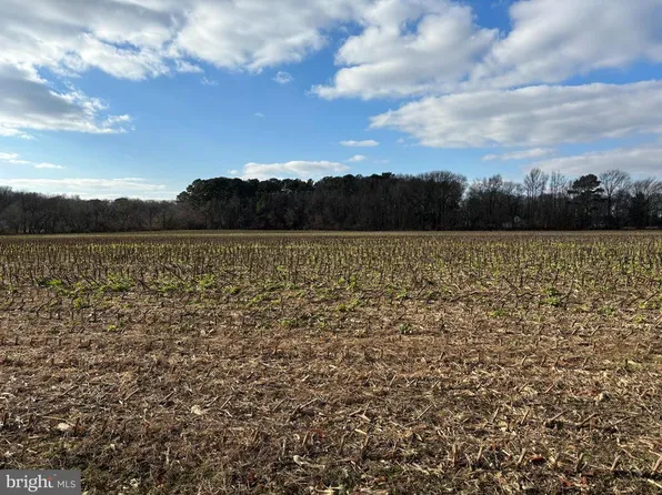 Cokesbury Rd, Rhodesdale, MD 21659