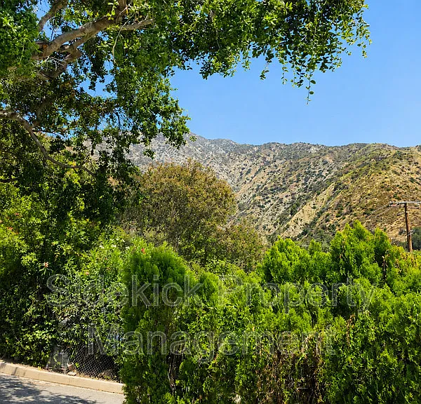 730 Orange Dr — Photo 6