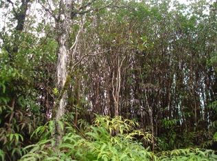 11 3321st #7054, Mountain View, HI 96771