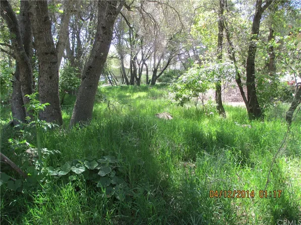 13495 Santa Clara Ave, Clearlake, CA 95422