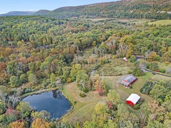 197 Millbrook Rd, Hardwick Twp., NJ 07825