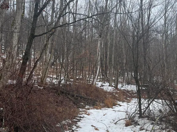 922 Hawk Rd, Montrose, PA 18801