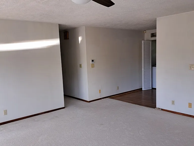 657 Hunalewa St — Photo 6