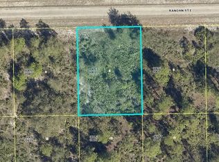 1138 Randan St E, Lehigh Acres, FL 33974