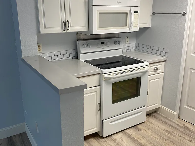 1335 Washington Palm Loop — Photo 15