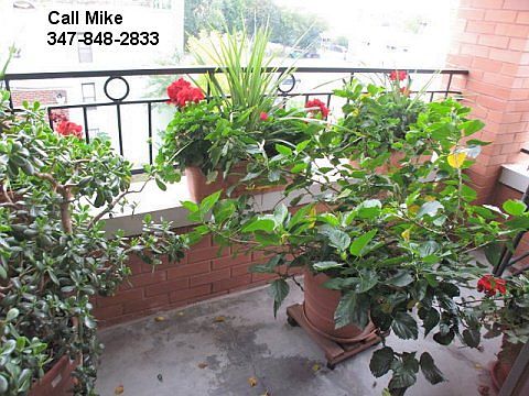 2nd image of 2710 Astoria Blvd APT 5E
