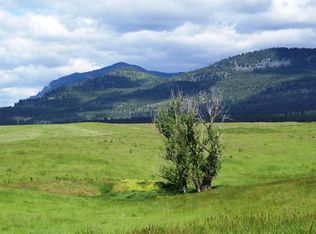 NHN Walking Horse Way LOT 13, Plains, MT 59859