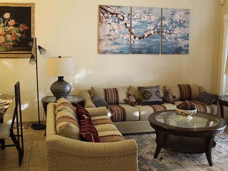 Relaxing in the living room