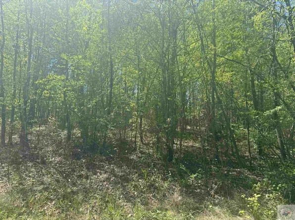 6889 Fm 1399, Linden, TX 75563