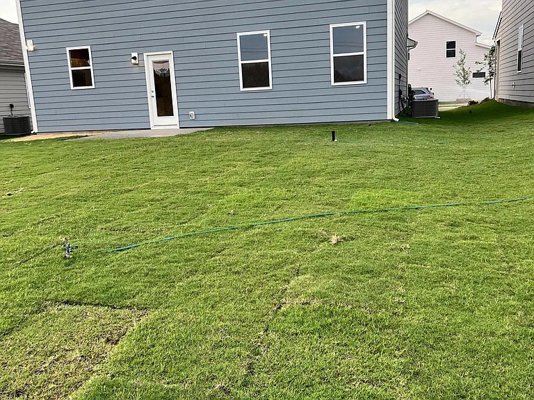 Back view of Home