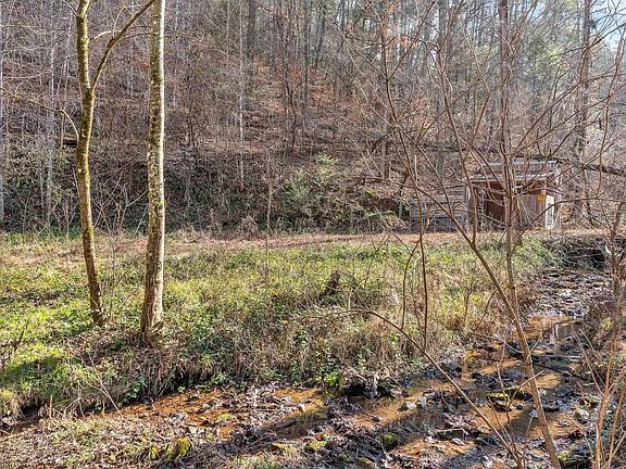3rd image of 1559 Spring Creek Rd