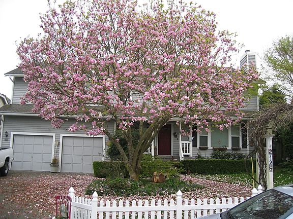 front of house-spring