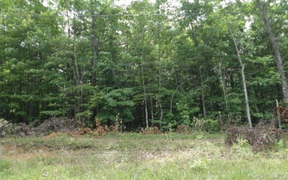 2nd image of 0 Parkstown Ext Lot 48