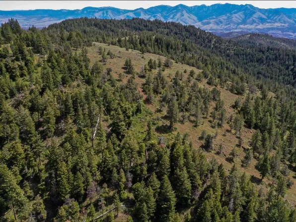 Belshaw, Mount Vernon, OR 97865