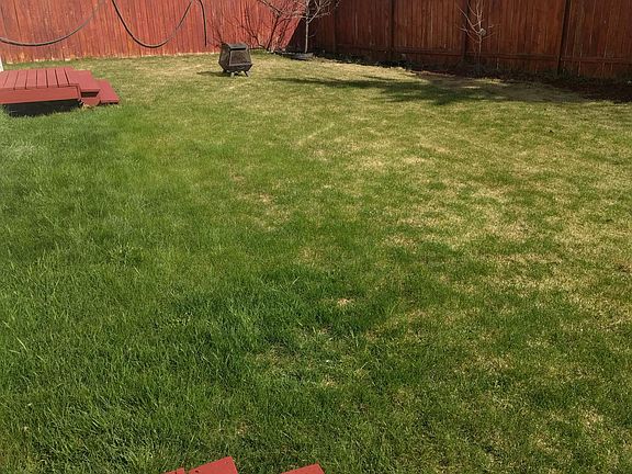 Shared backyard.