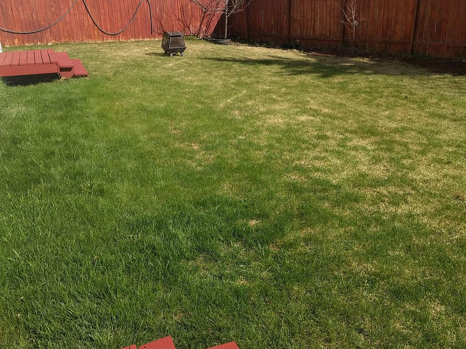 Shared backyard.