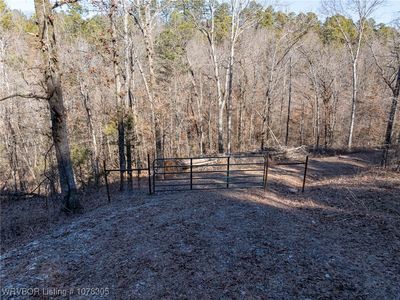 E Highway 217, Booneville, AR, 72927