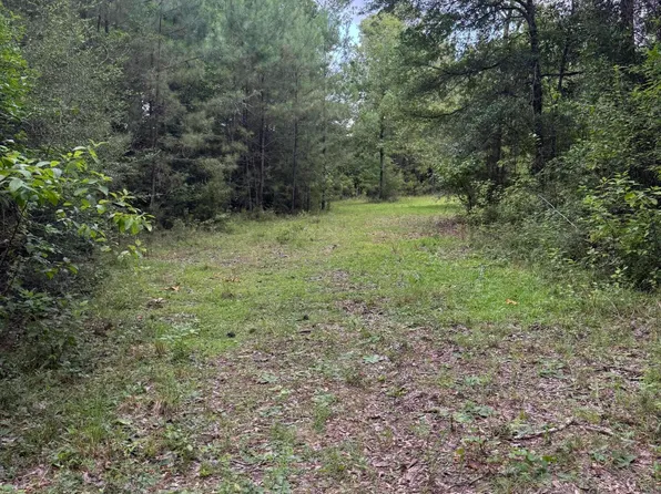 134A Harry Sones Rd, Carriere, MS 39426