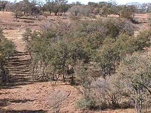 2nd image of 000 PEACEFUL VALLEY ROAD