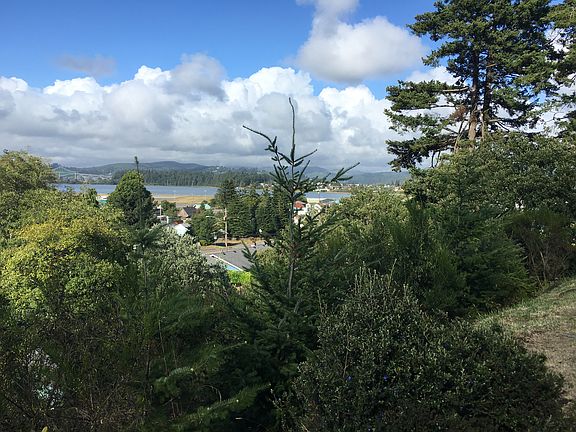 View from Back of Bay