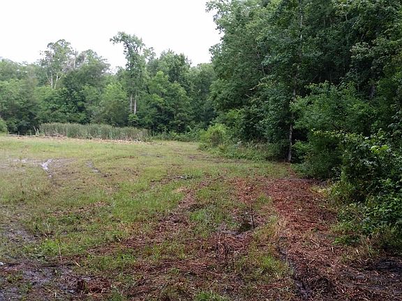 CHArnold mowed,right