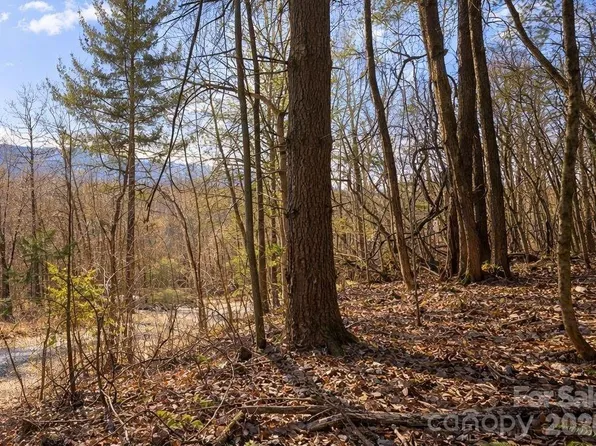 125 Lasso Ln #304, Waynesville, NC 28785