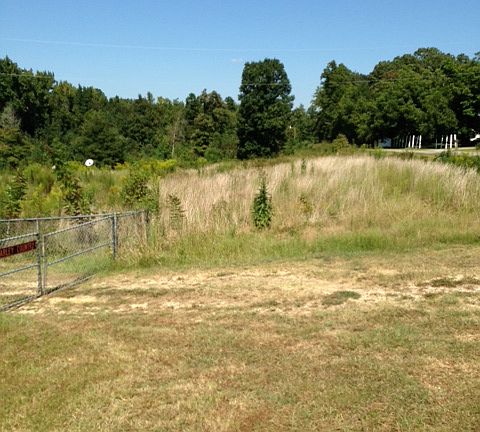 View of Land near main  road