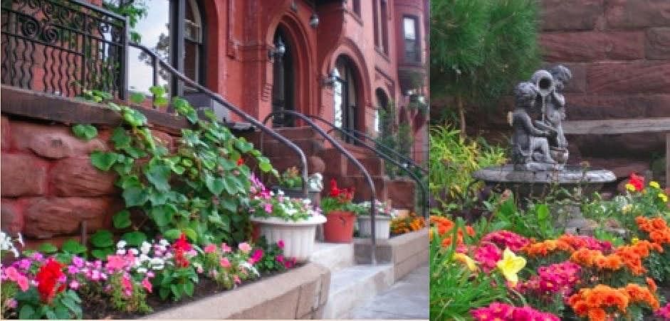 Beautiful Summer Garden