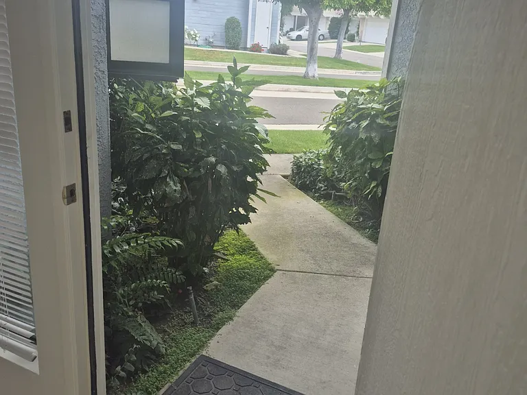 14562 Holt Ave #A — Photo 24