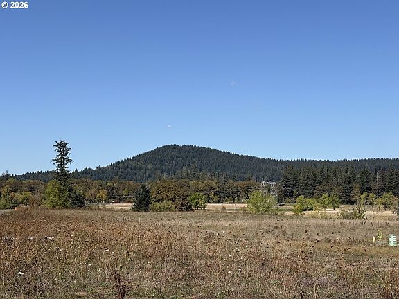 4th image of 4829 NW Camas Meadows Dr