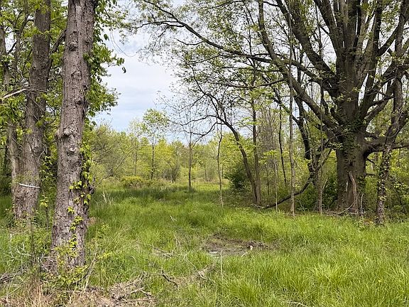 2nd image of Youngstown Kingsville Rd NE Lot Wp001