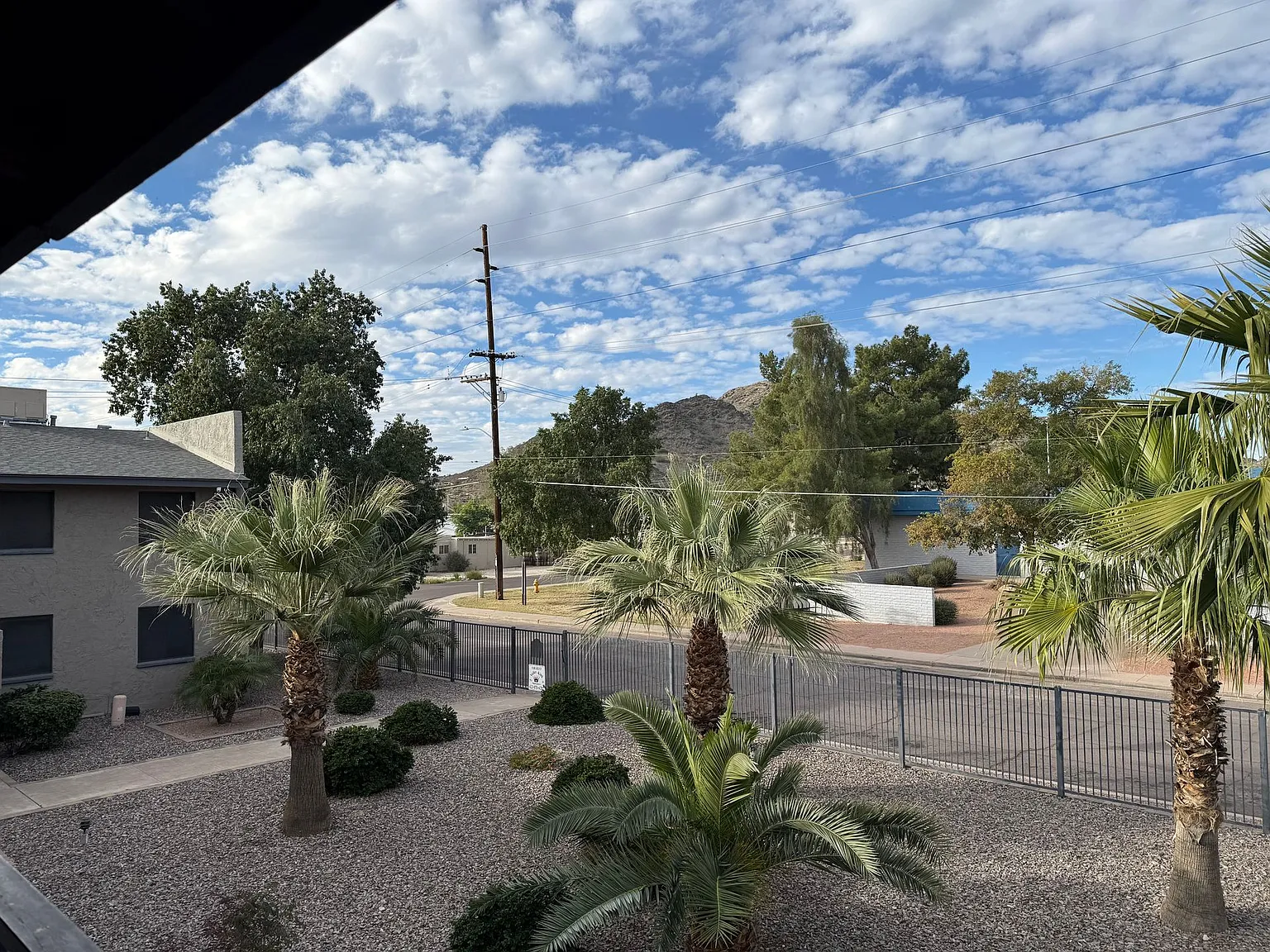 809 at the Park — Photo 3