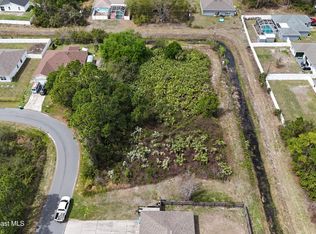 1805 Raintree Ave SE, Palm Bay, FL 32909