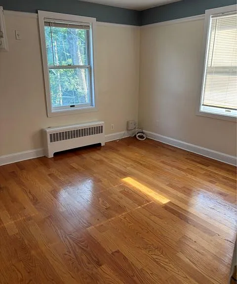 261 Schenck Ave #2 — Photo 6