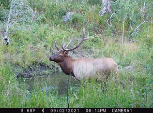 Old Flowers Rd, Bellvue, CO 80512