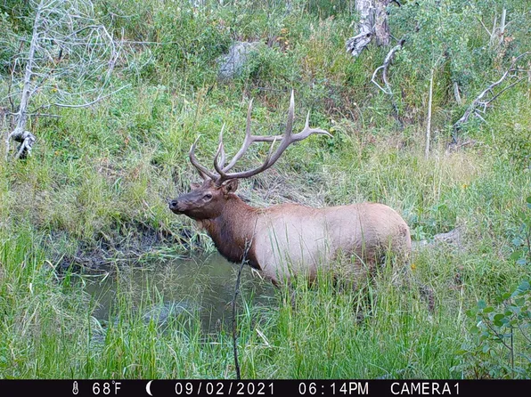 Old Flowers Rd, Bellvue, CO 80512