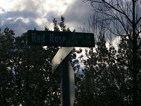 5th image of 2162 Red Rose Ln