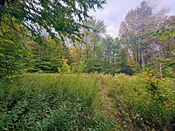 60 Stone Hill Rd, Rowe, MA 01367