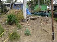 1st image of 1183 N Bonnie Beach Pl