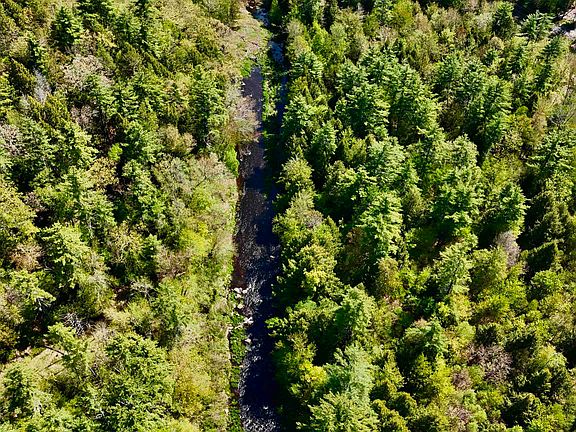 2nd image of Russell Hill Road #35