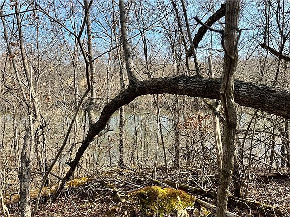 3rd image of 98 County Road 4502