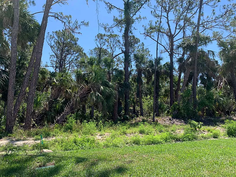 1980 Sunset Preserve Way — Photo 19