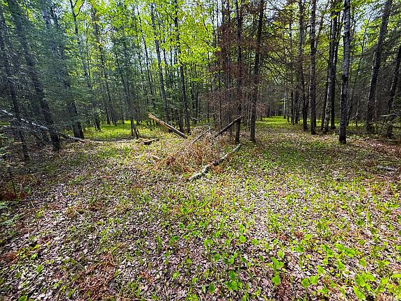 5th image of 72 E Central Lakes Rd Lot B