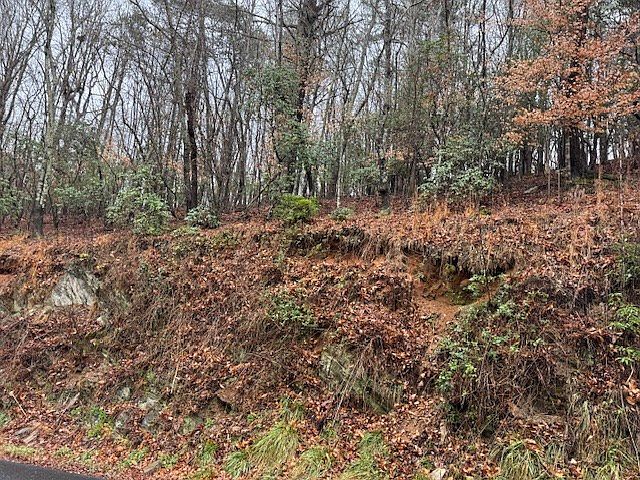 2nd image of 171 Beaver Lake Dr