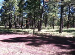 155 Blue Ridge Rd, Mormon Lake, AZ 86038