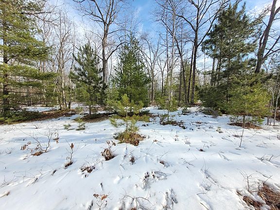 5th image of Chippewa Trl