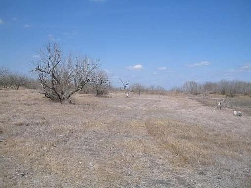 5th image of 235 W FM 99