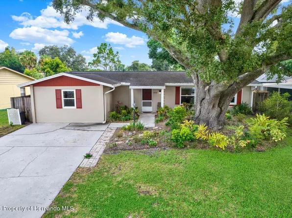 22537 Newfield Ct, Land O Lakes, FL 34639