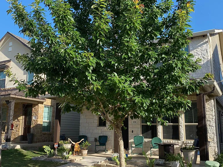 133 Buckthorn Dr — Photo 2