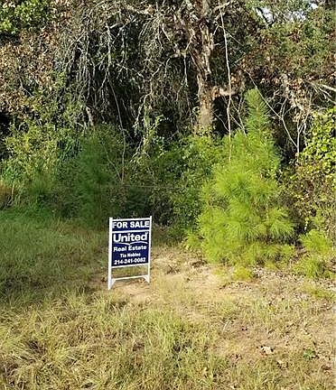 2nd image of 13217 County Road 1125